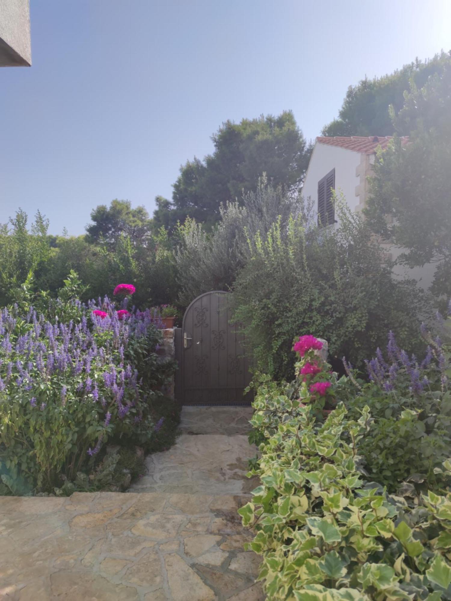 Vacation House Milka Milna  Exterior photo